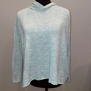 American eagle hooded sweater